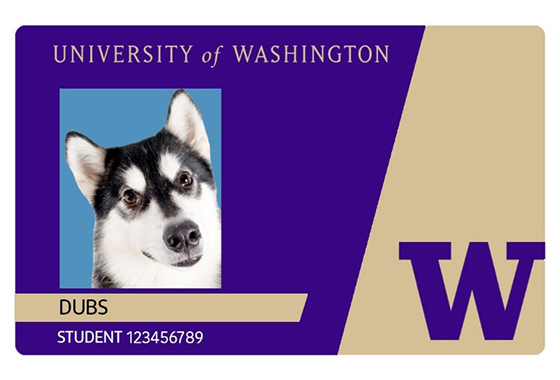 husky card