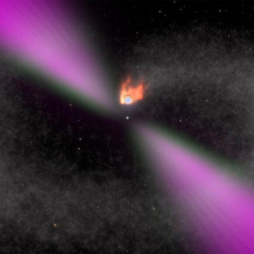 Black Widow’ Binary