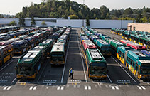 image of Seattle bus fleet