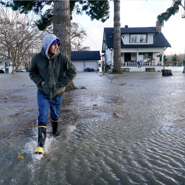 Benjamin Lopez steps from floodwater surrounding his parents’ home in Sedro-Woolley on Nov. 15, 2021. The heavy rainfall brought major flooding of the Skagit River. (AP Photo / Elaine Thompson, File)