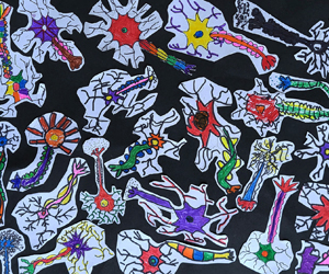 Drawings of many colorful neurons