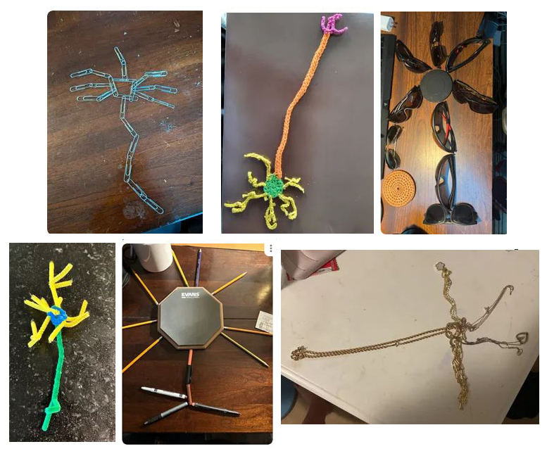 Photos of neuron models