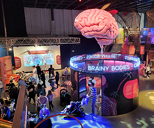 Inside the Pacific Science Center Brainy Bodies exhibit.