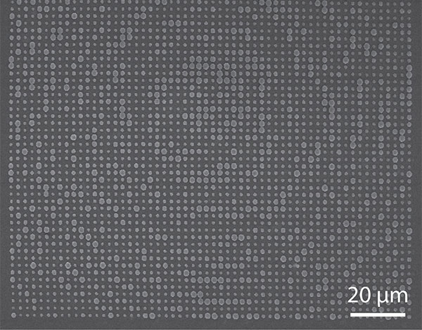 A scanning electron micrograph image of the surface of the optical element.