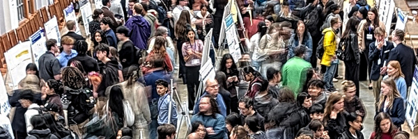 Many people viewing poster presentations.