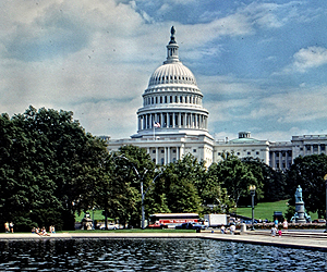 The Capitol Bldg; Washington, DC